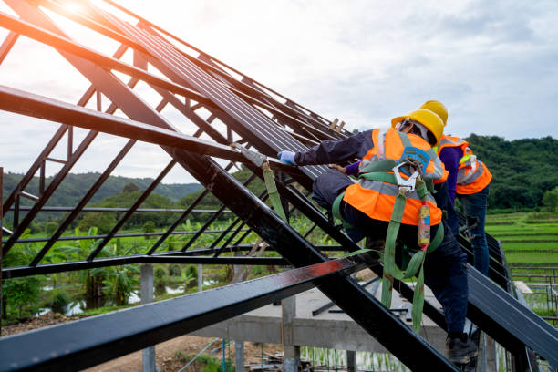 Quick and Trustworthy Emergency Roof Repair Services in Taylor, AL