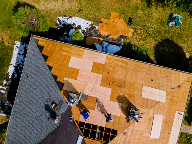 Quick and Trustworthy Emergency Roof Repair Services in Taylor, AL